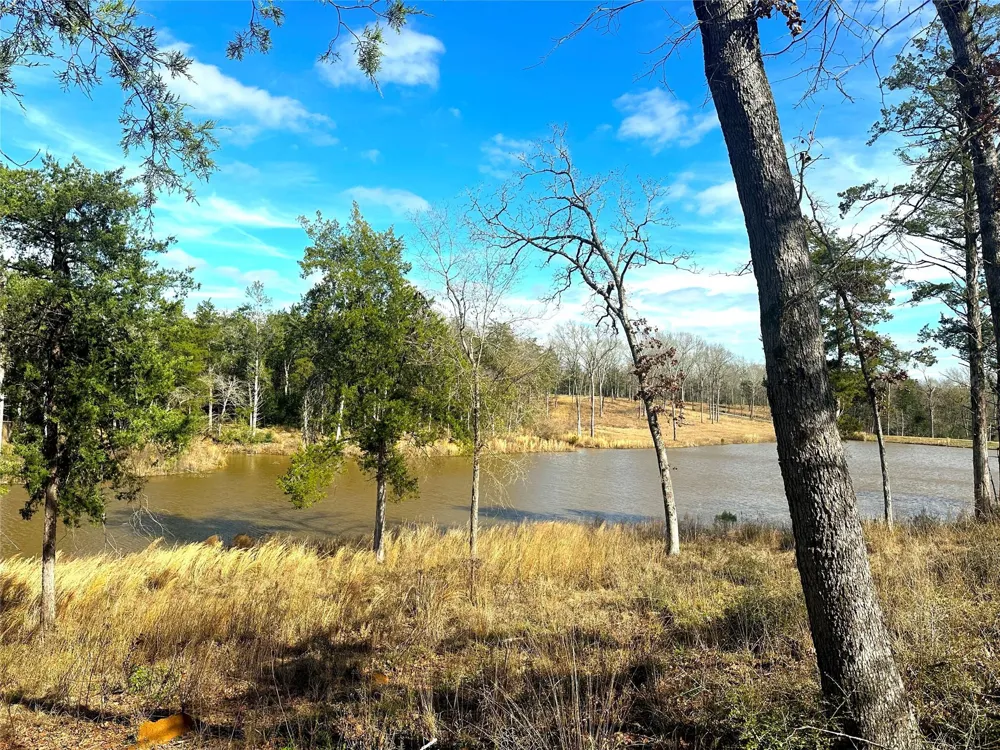 Cr 494 Jewett, TX 75846
