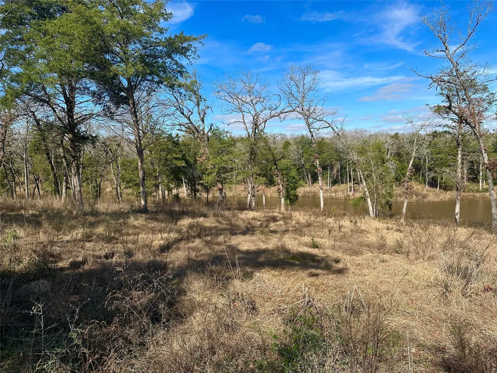 Cr 494 Jewett, TX 75846