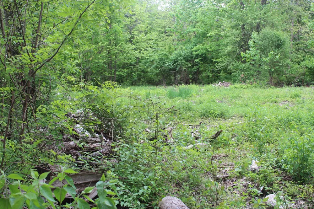 30 Harding Way Monroe, NY 10950