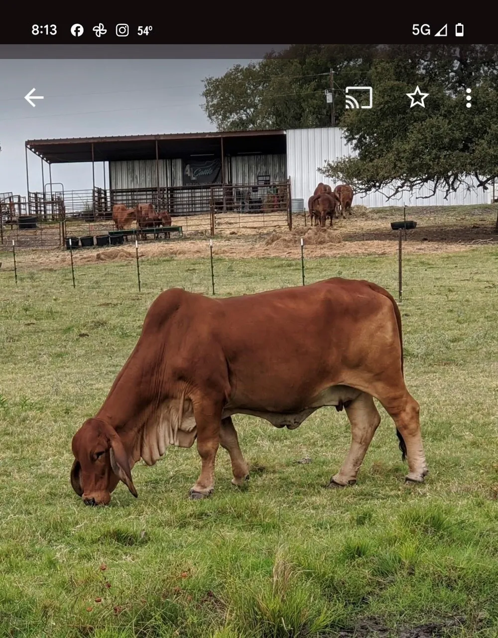 1010 Lcr 612 Mart, TX 76664