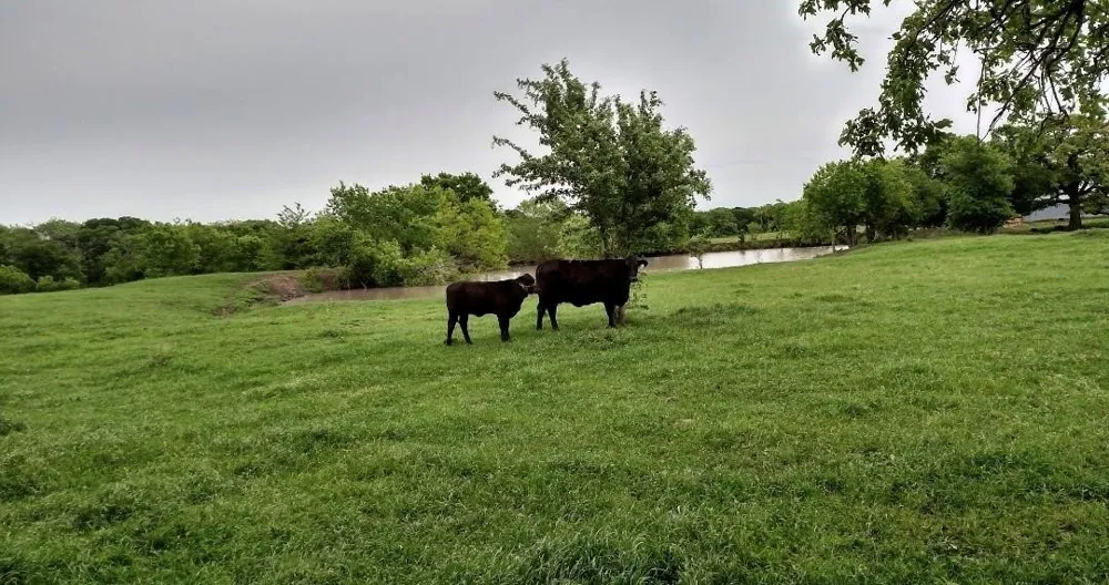 1010 Lcr 612 Mart, TX 76664