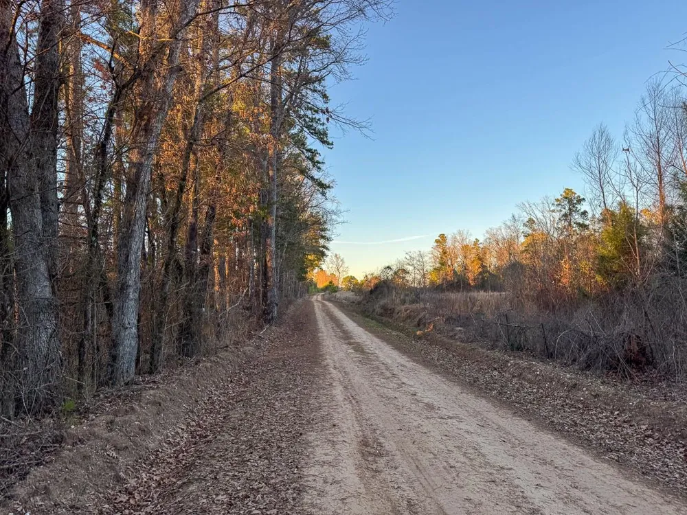1 Cr 4415 Annona, TX 75559