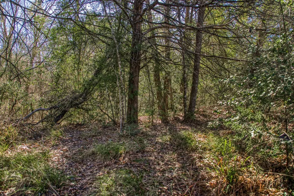 9354 Fm-2780 Burton, TX 77835