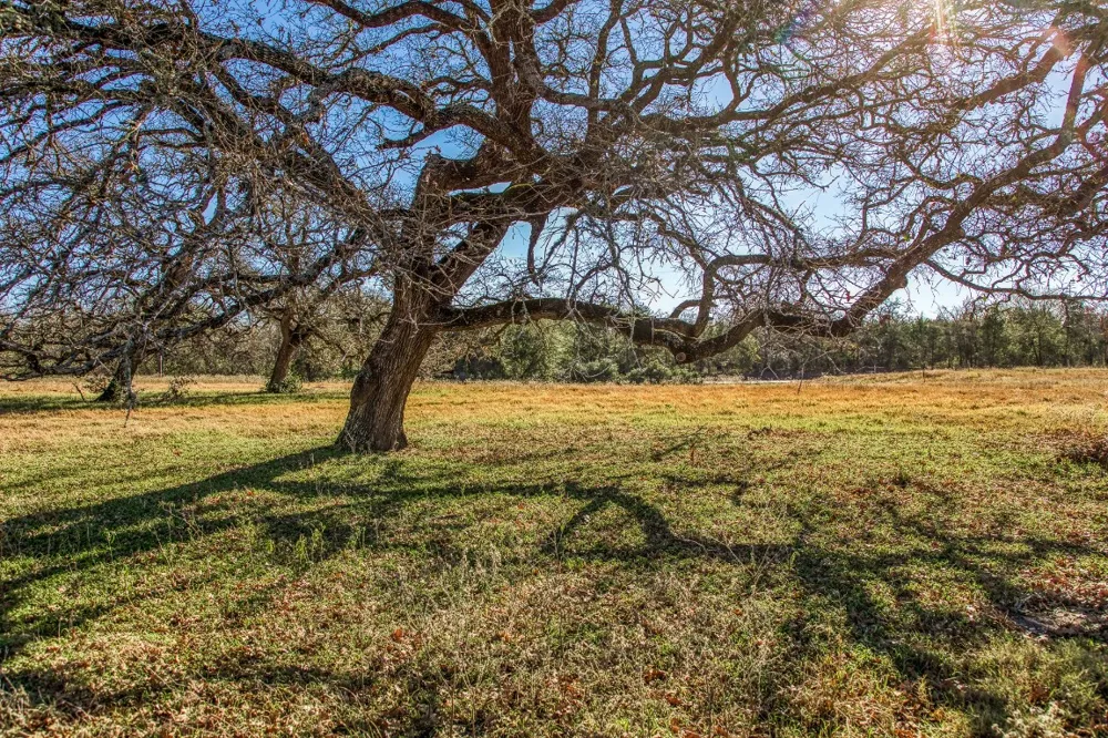 9354 Fm-2780 Burton, TX 77835