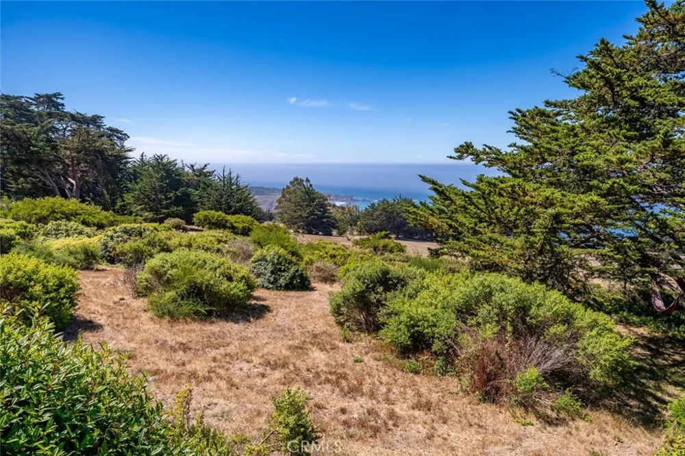 18844 Cabrillo Hwy San Simeon, CA 93452