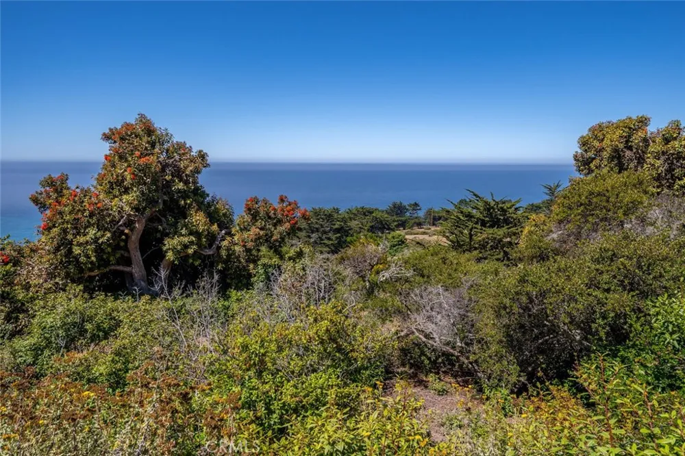 18844 Cabrillo Hwy San Simeon, CA 93452