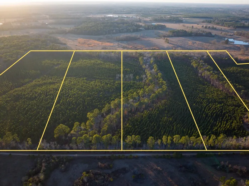 5 Cr 4415 Annona, TX 75559
