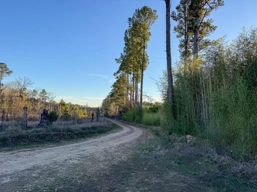 5 Cr 4415 Annona, TX 75559