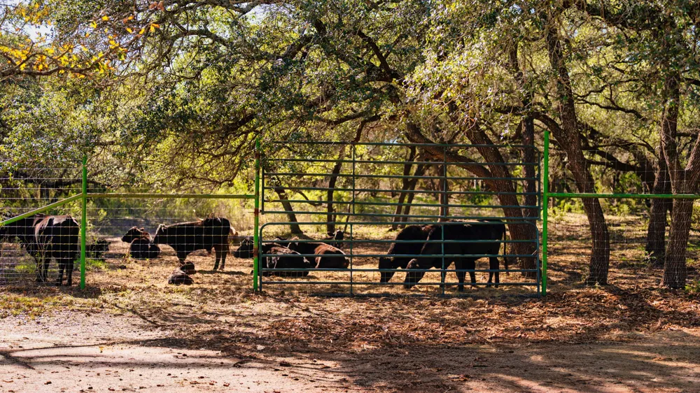 25711 Hamilton Pool Road Round Mountain, TX 78663