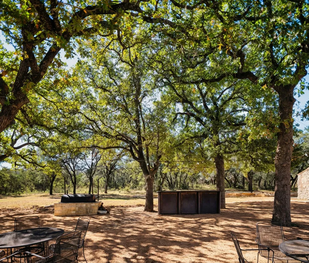 25711 Hamilton Pool Road Round Mountain, TX 78663