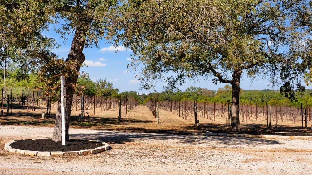 25711 Hamilton Pool Road Round Mountain, TX 78663