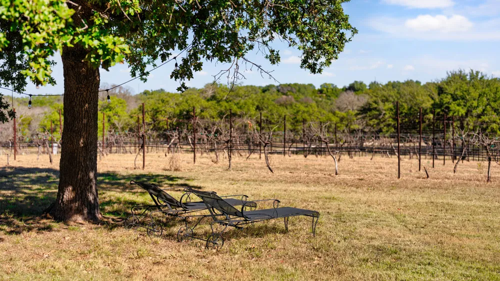 25711 Hamilton Pool Road Round Mountain, TX 78663