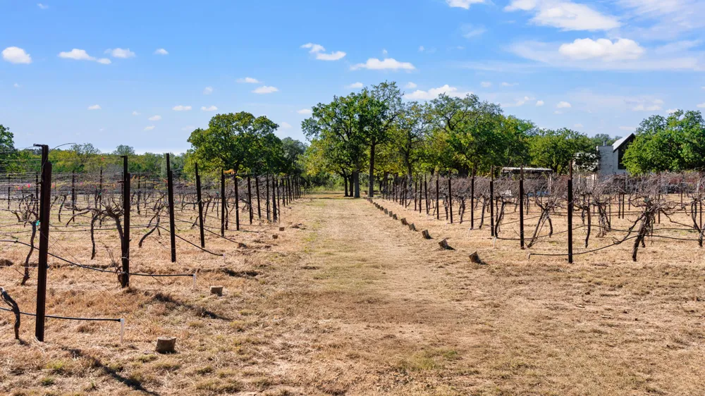 25711 Hamilton Pool Road Round Mountain, TX 78663
