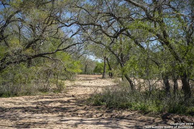 2731 County Road 770 Natalia, TX 78059