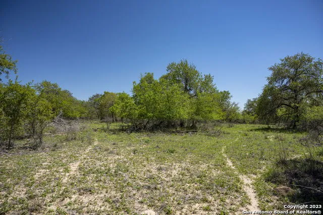 2731 County Road 770 Natalia, TX 78059
