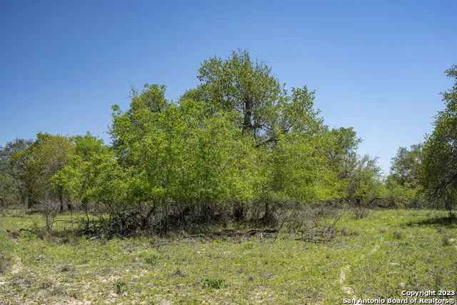 2731 County Road 770 Natalia, TX 78059