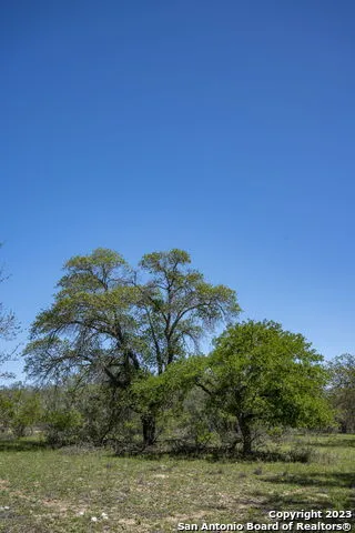 2731 County Road 770 Natalia, TX 78059