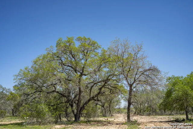 2731 County Road 770 Natalia, TX 78059
