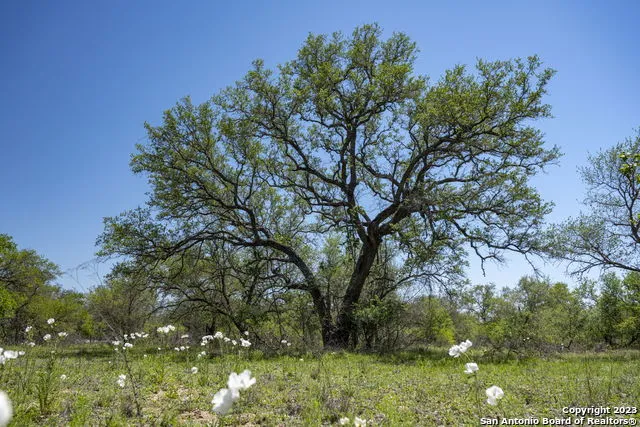 2731 County Road 770 Natalia, TX 78059