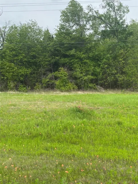 N US Hwy 175