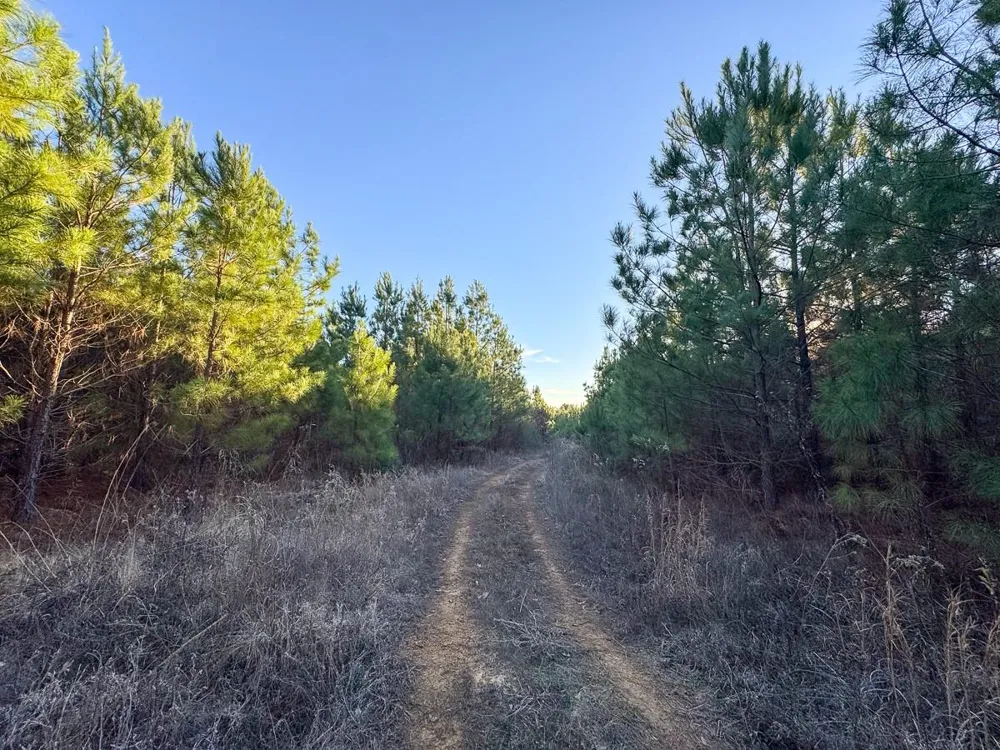 7 Cr 4415 Annona, TX 75559