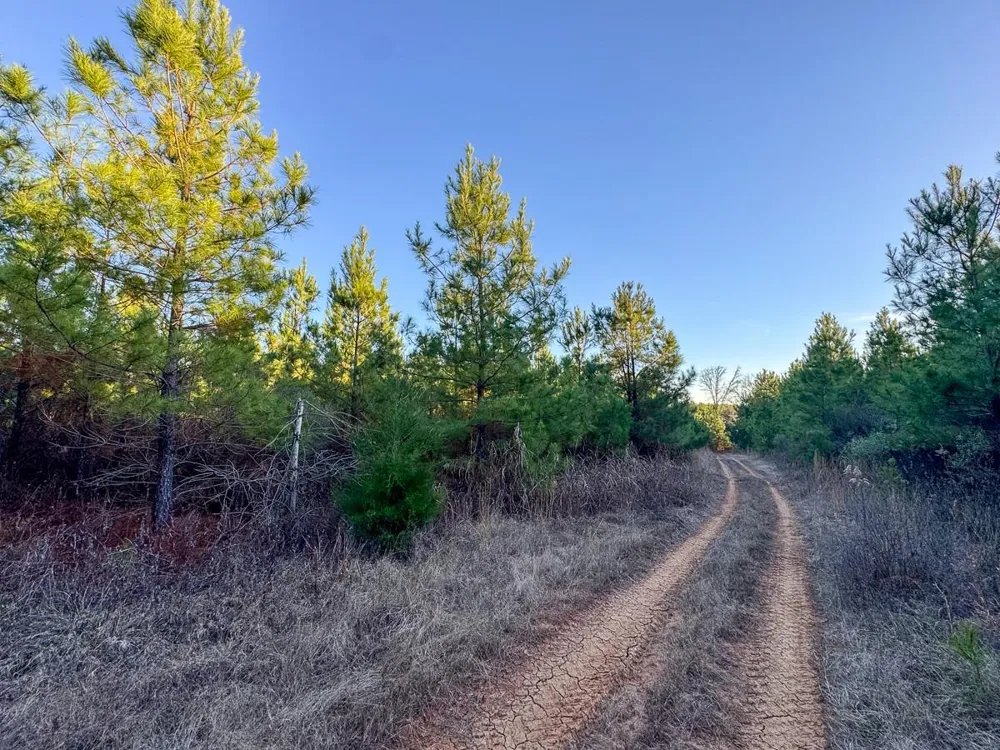 7 Cr 4415 Annona, TX 75559