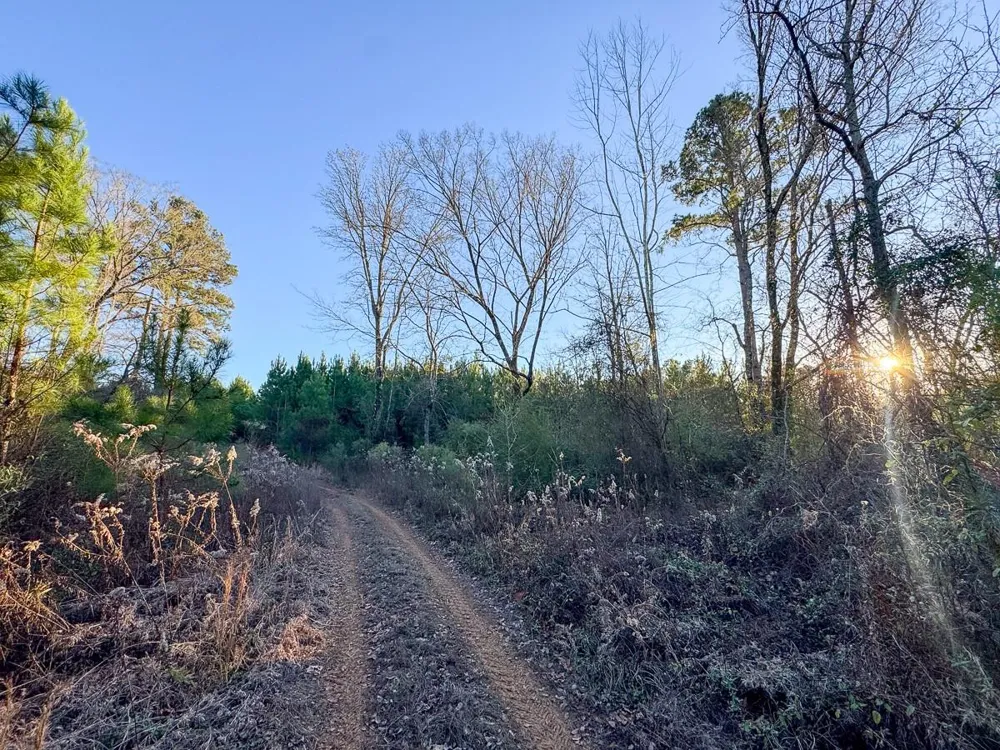 7 Cr 4415 Annona, TX 75559