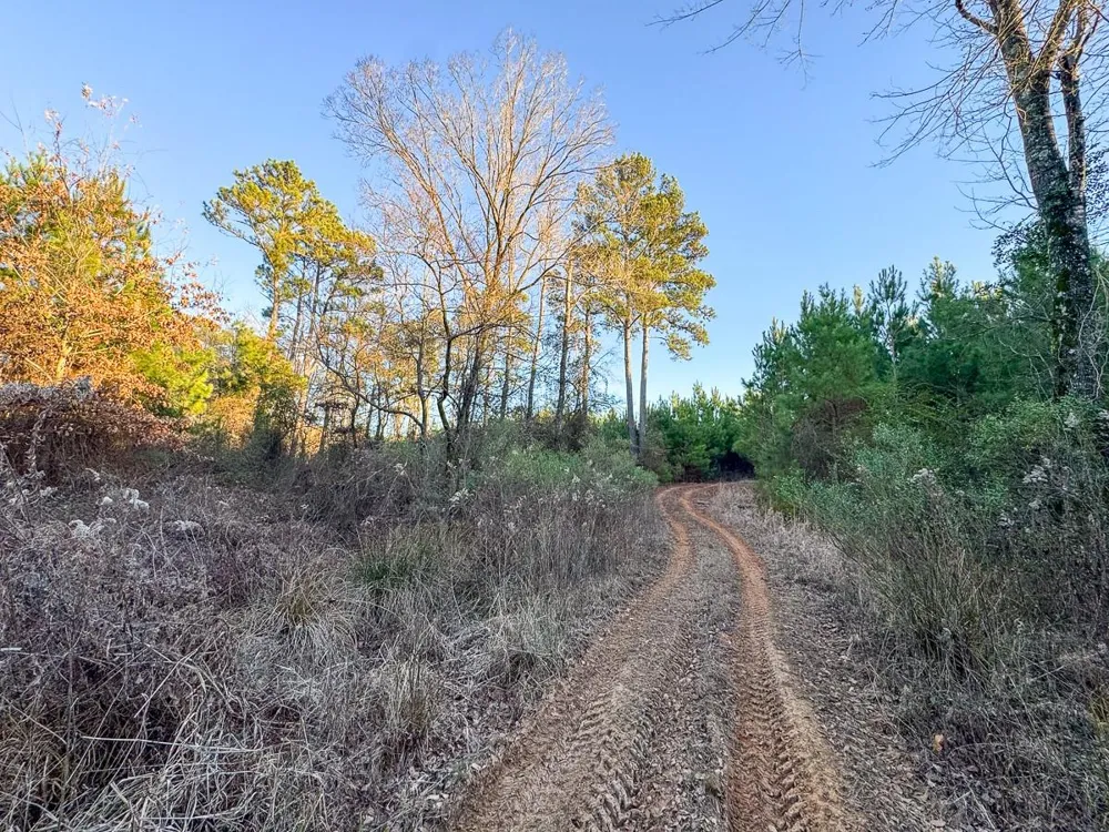 7 Cr 4415 Annona, TX 75559