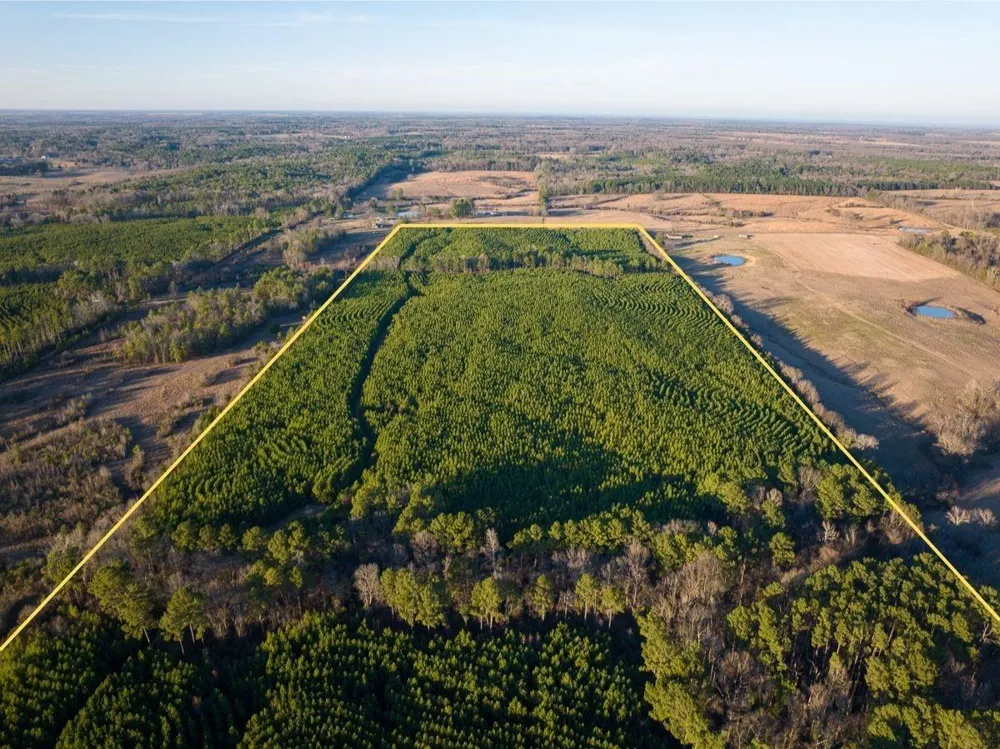 7 Cr 4415 Annona, TX 75559