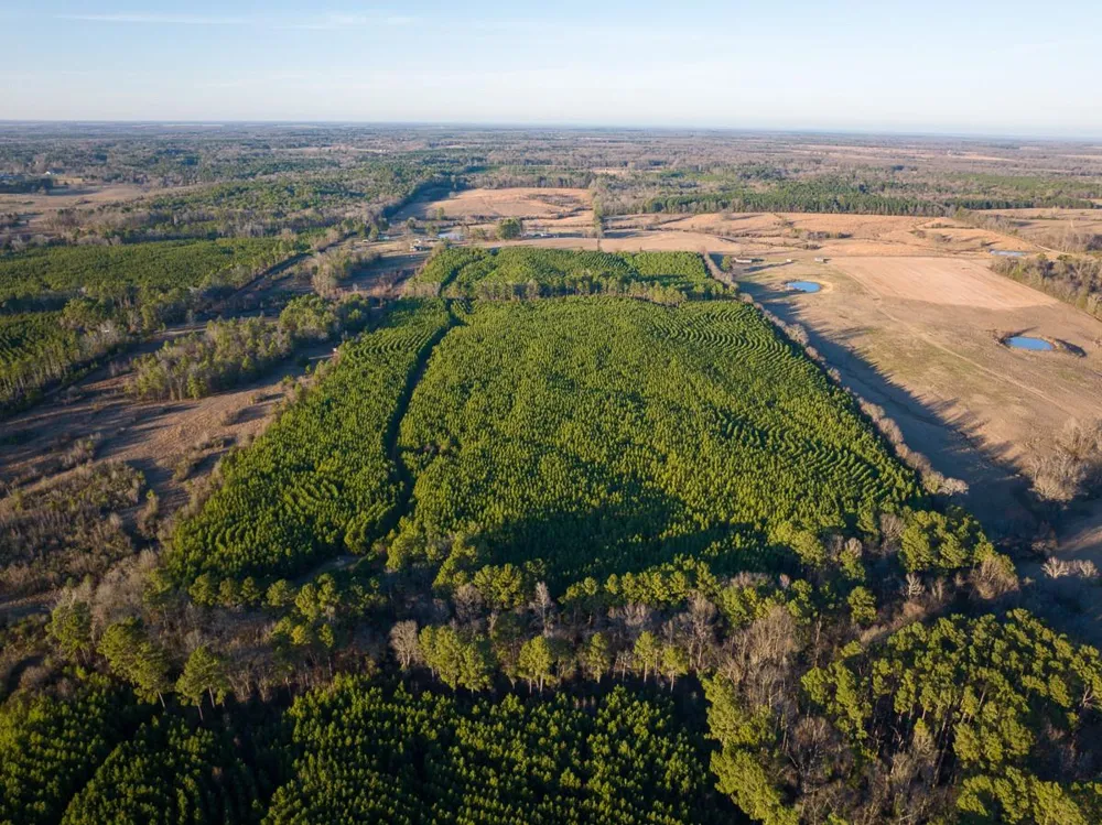 7 Cr 4415 Annona, TX 75559