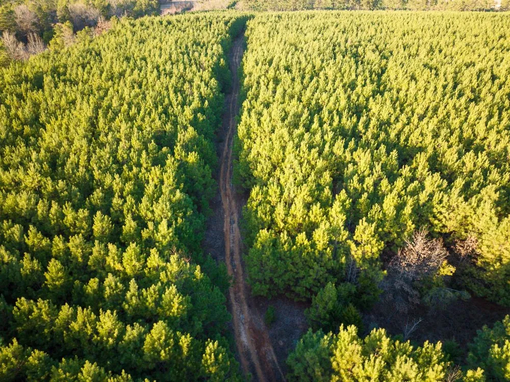 7 Cr 4415 Annona, TX 75559