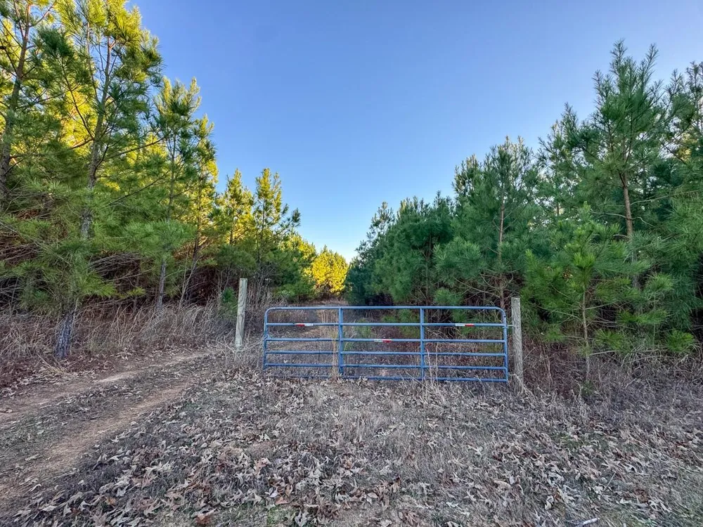 7 Cr 4415 Annona, TX 75559