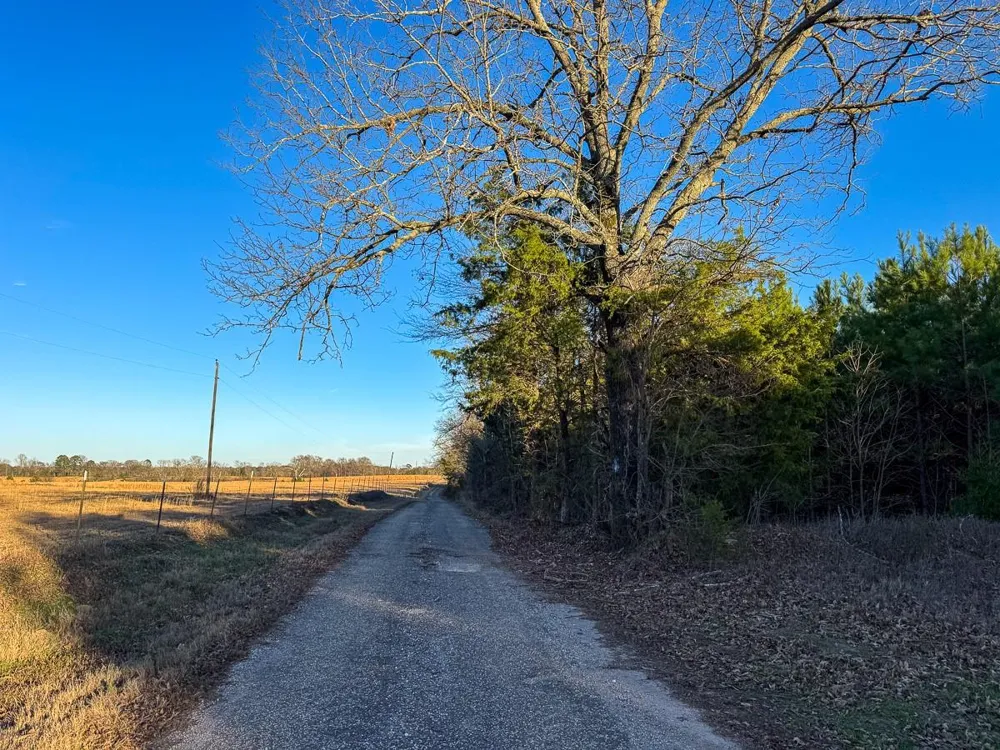 7 Cr 4415 Annona, TX 75559