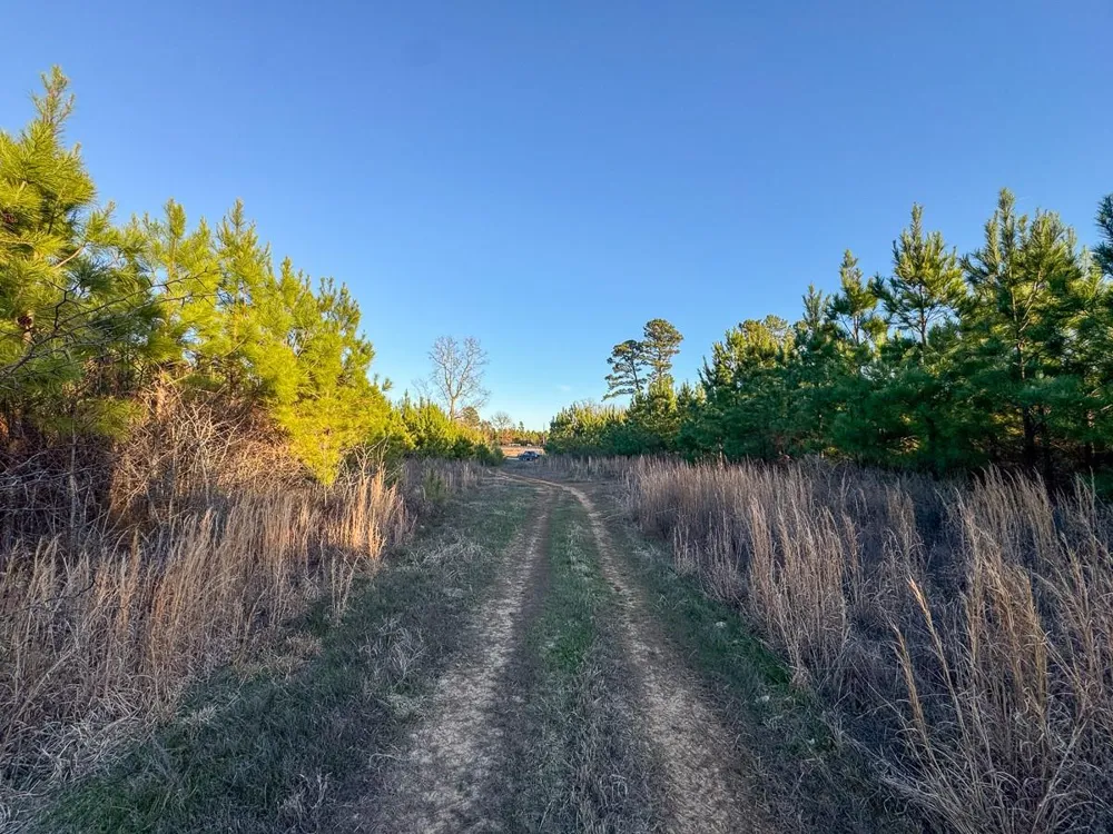 8 Cr 4415 Annona, TX 75559