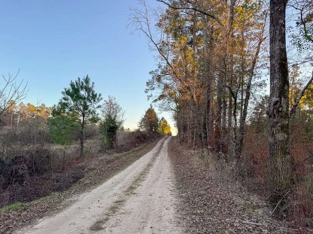 8 Cr 4415 Annona, TX 75559