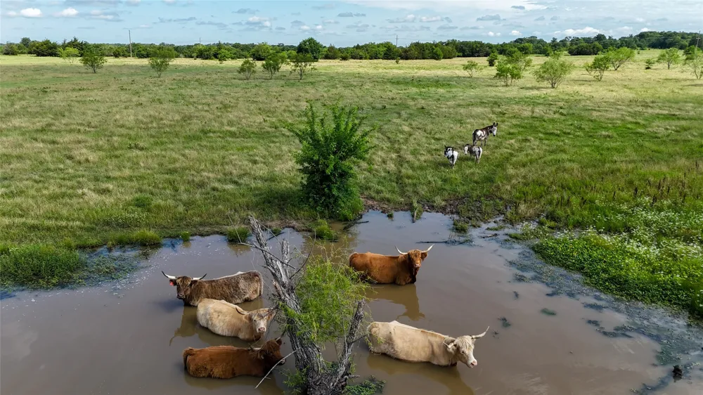 CR 166 Callisburg, TX 76273