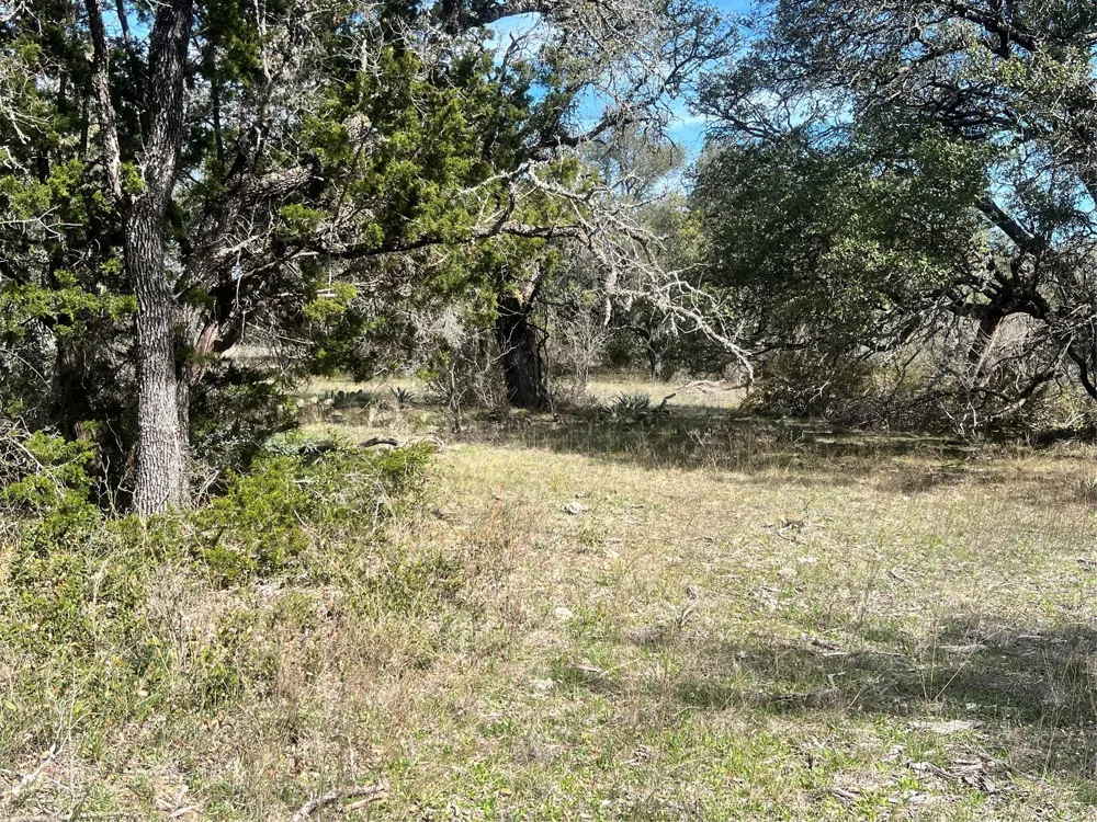 149 Comanche Hills Comanche, TX 76442