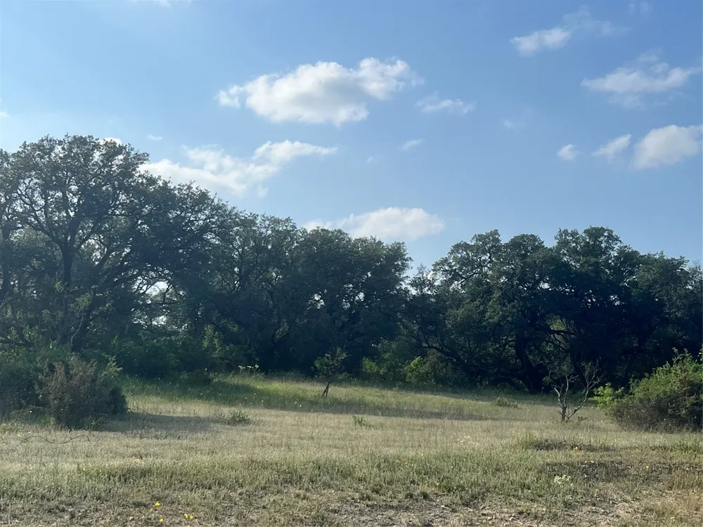149 Comanche Hills Comanche, TX 76442