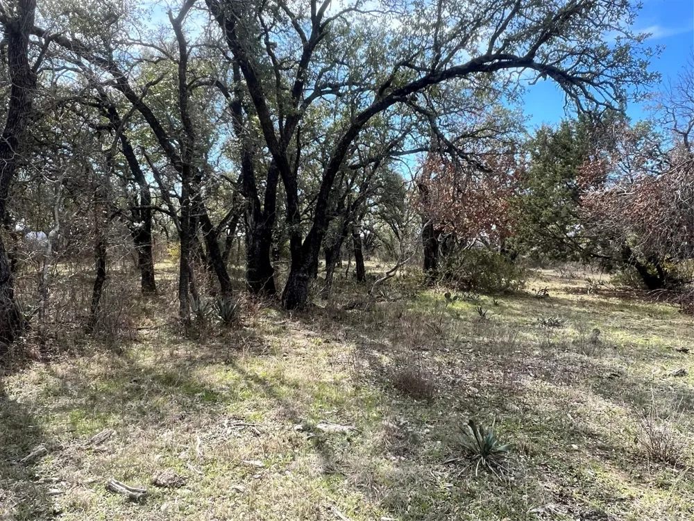 149 Comanche Hills Comanche, TX 76442