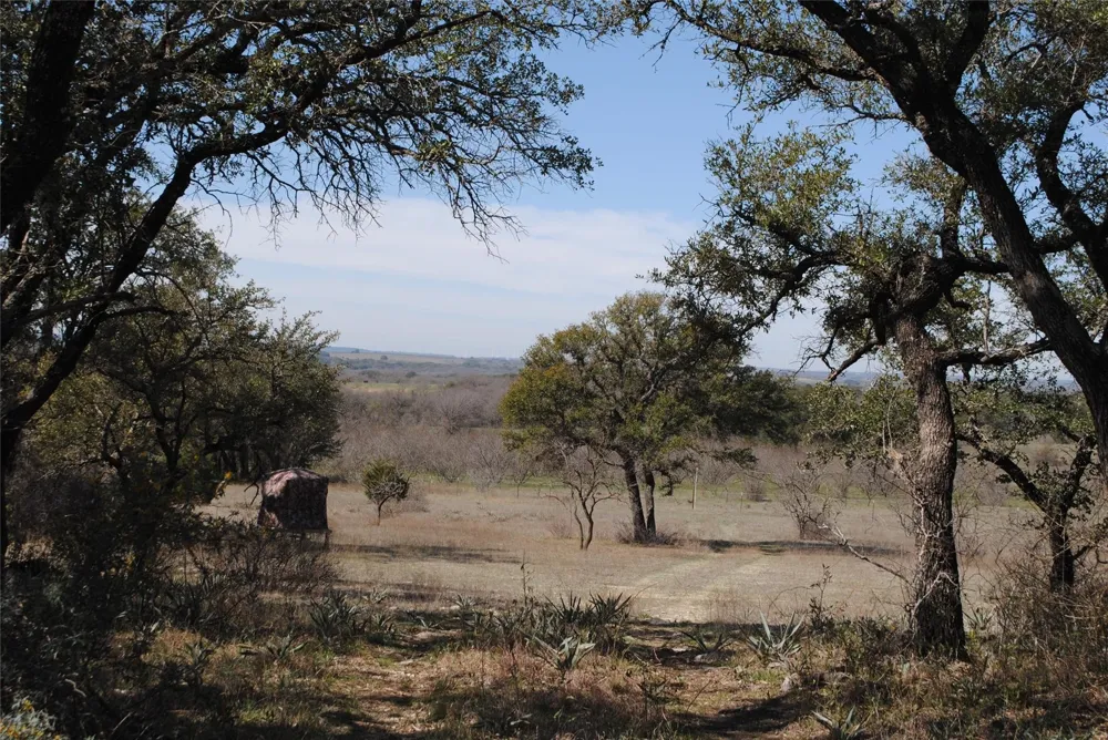 149 Comanche Hills Comanche, TX 76442