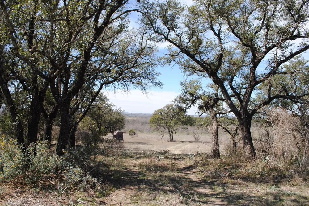 149 Comanche Hills Comanche, TX 76442