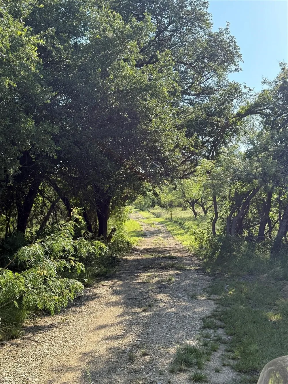 149 Comanche Hills Comanche, TX 76442