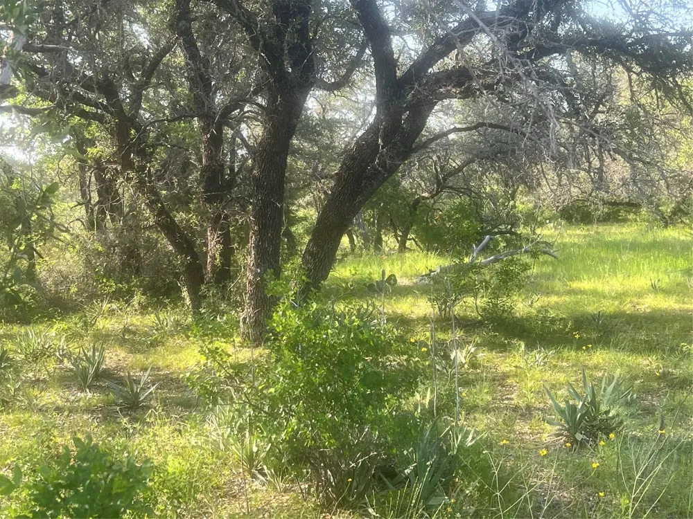 149 Comanche Hills Comanche, TX 76442