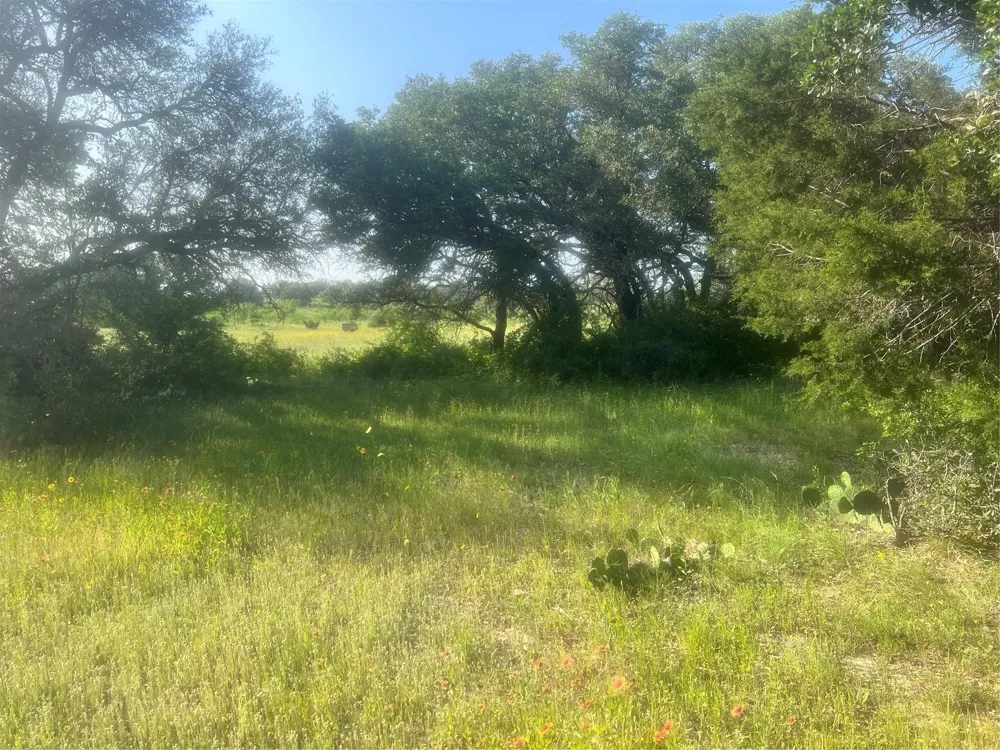 149 Comanche Hills Comanche, TX 76442