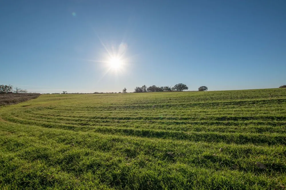 8498 County Road 121 Road San Saba, TX 76877