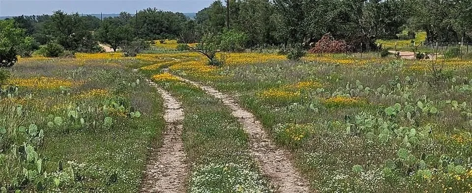 Starks Road Mason, TX 76856