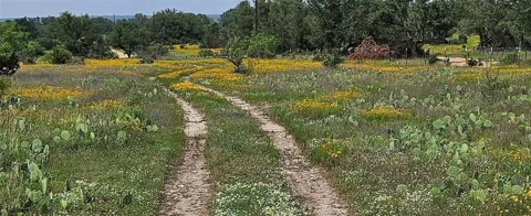 Starks Road