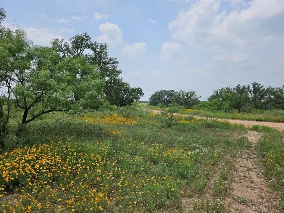 Starks Road Mason, TX 76856