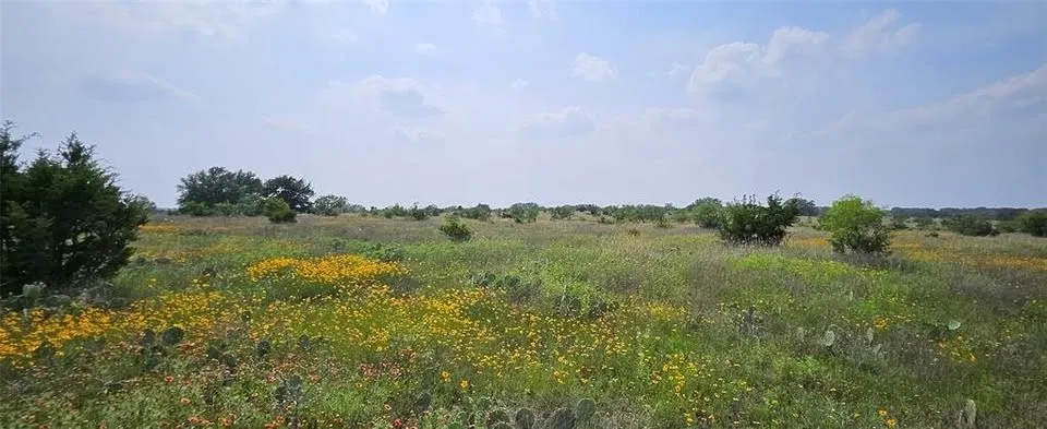 Starks Road Mason, TX 76856