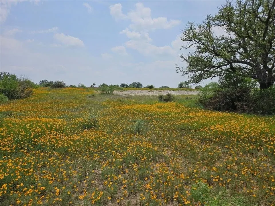 Starks Road Mason, TX 76856